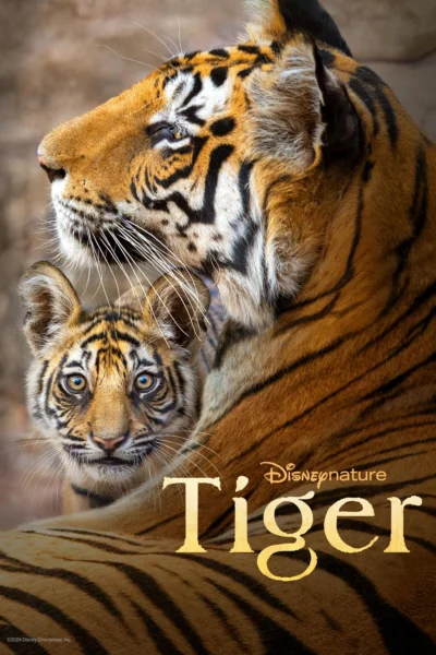 Tiger - Tiger (2024)